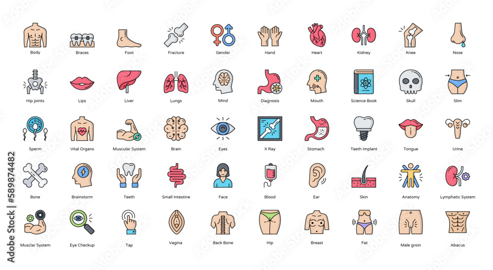 Fototapeta premium Anatomy Filled Line Icons Human Body Organ Icon Set in Color Outline Style 50 Vector Icons