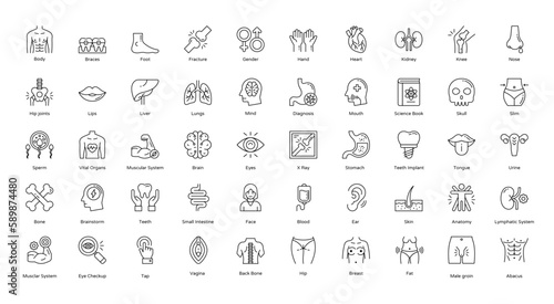 Anatomy Thin Line Icons Human Body Organ Icon Set in Outline Style 50 Vector Icons in Black