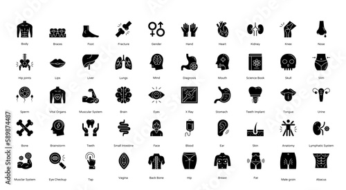 Anatomy Glyph Icons Human Body Organ Icon Set in Glyph Style 50 Vector Icons in Black