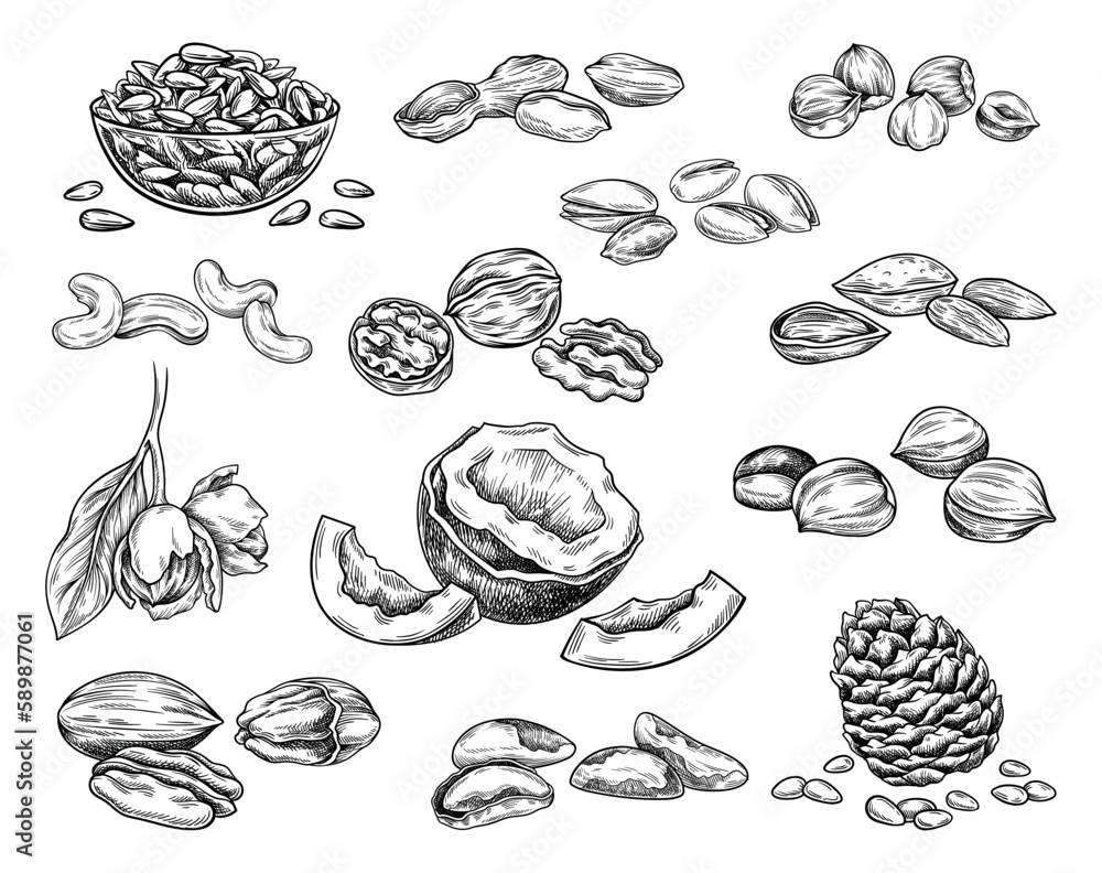 Set of vintage hand drawn nuts icons. Luxury sketches or illustrations with cashew, pistachio, coconut, almond, hazelnut, macadamia and walnut. Linear vector collection isolated on white background.