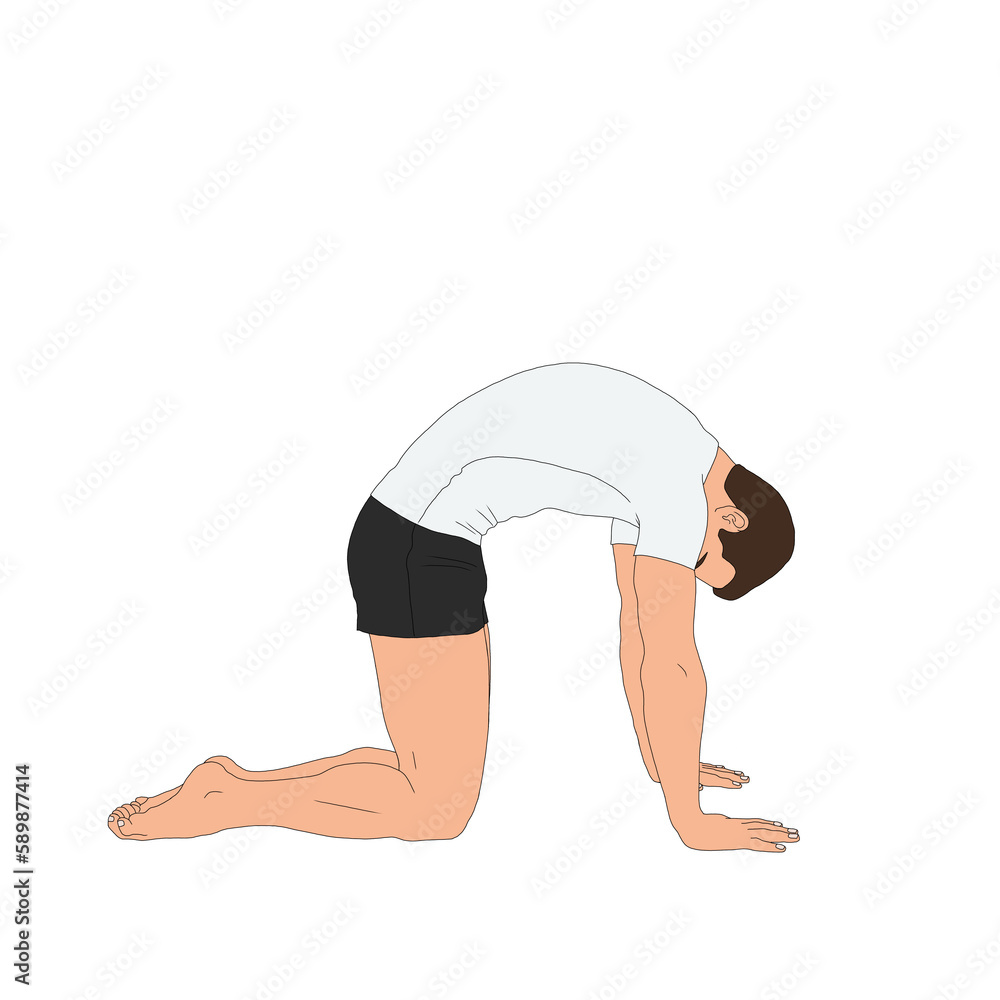 PNG Marjariasana / The Cat Cow Pose 2. Man doing yoga asana pose ...