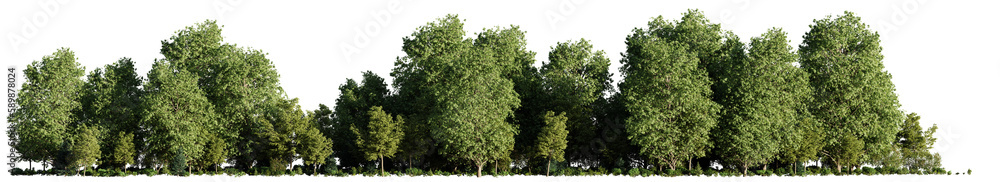 landscape with trees and bushes, isolated on transparent background panorama banner