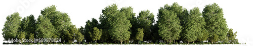 landscape with trees and bushes, isolated on transparent background panorama banner