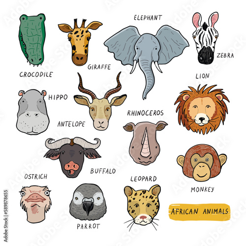 African animals funny faces vector illustraions set. photo