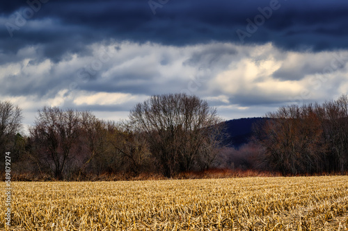 A spring thunderstorm with heavy rain is quickly approaching. A warm golden light still lights the cornfield while the distant trees and mountains are already in the Clouds shadow in Kirkwood NY.