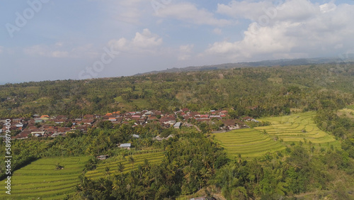 village among rice fields and terraces in Asia. aerial view farmland with rice terrace agricultural crops in countryside Indonesia, Bali.
