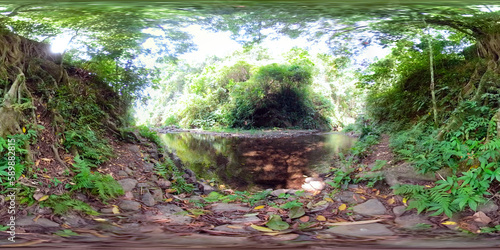 vr 360 jungle landscape river in rainforest. rainforest with green, lush vegetation photo