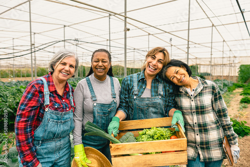 Tela Happy multiracial women farmers working inside greenhouse - Farm people cooperat