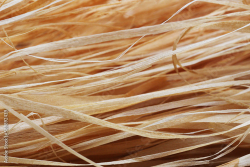 Close-up photo of straw