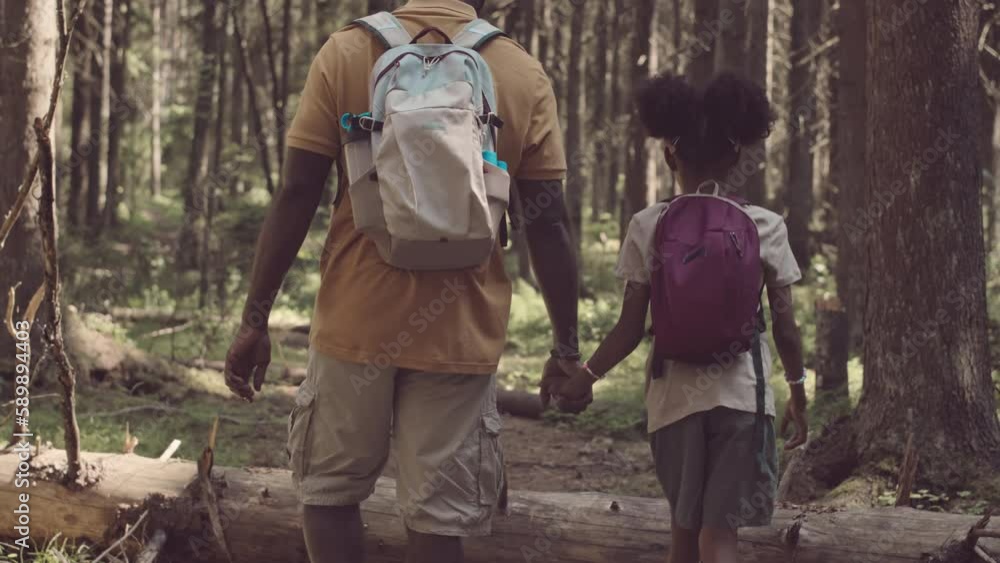 Back view medium slowmo of Black man with little daughter walking along forest holding hands in summer Back view medium slowmo of Black man with little daughter walking along forest holding hands in summer