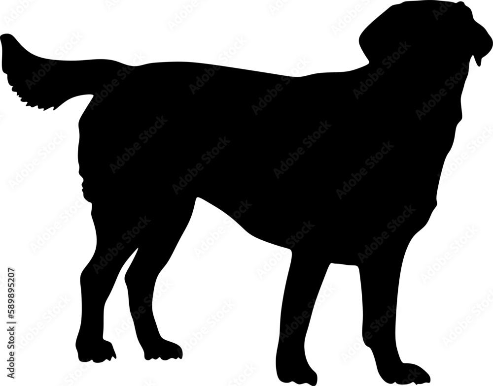 dog silhouette art,background,vector,illustration