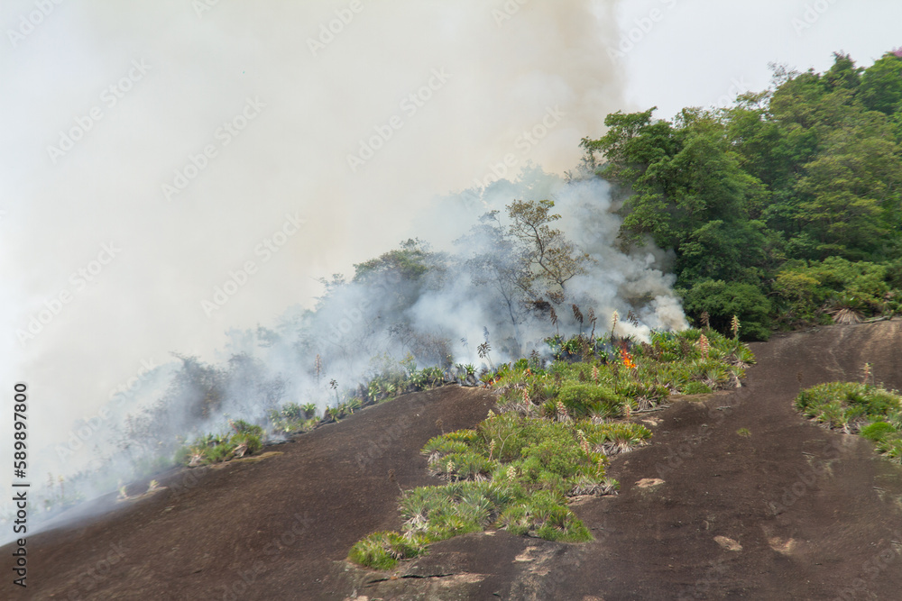 Obraz na plátně Morro dos Cabritos forest area on fire in Copacabana in Rio de Janeiro