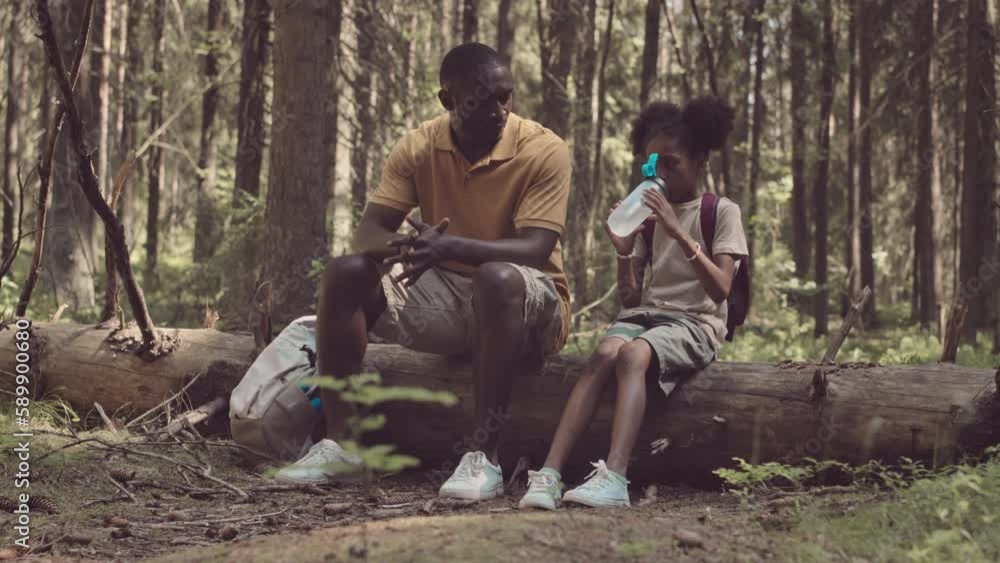 Slowmo of Black man with 8 year old daughter sitting on tree trunk in forest during summer hike Slowmo of Black man with 8 year old daughter sitting on tree trunk in forest during summer hike