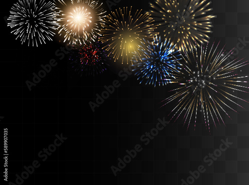 Vector Brightly Colorful Fireworks on the background of the night sky.
