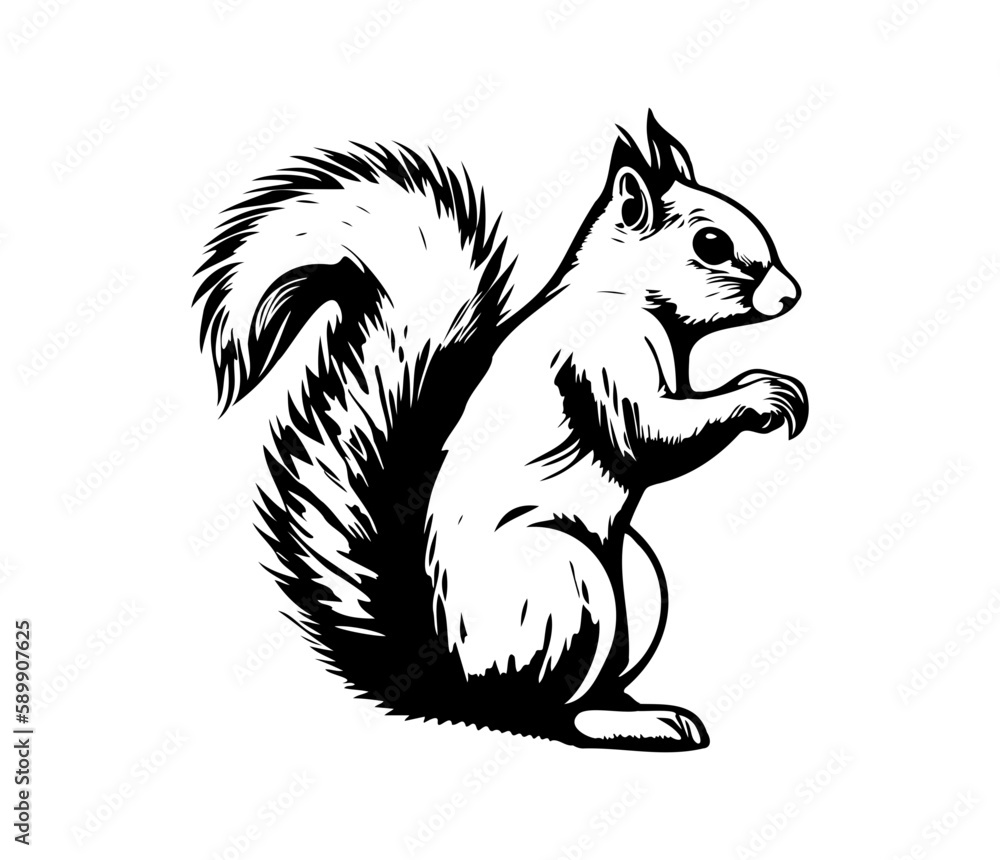 Squirrel Face, Silhouettes Squirrel Face SVG, black and white Squirrel vector Squirrel Face, Silhouettes Squirrel Face SVG, black and white Squirrel vector