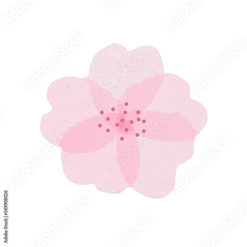 Isolated beautiful tender watercolor sakura flower with light pink transparent petals