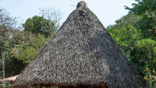 Photo Of Beautiful Auroville Village Flora, Fauna And Forest Site Pondicherry India photo