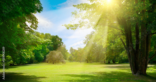 Fototapeta Naklejka Na Ścianę i Meble -  Sunrise beam in beautiful park