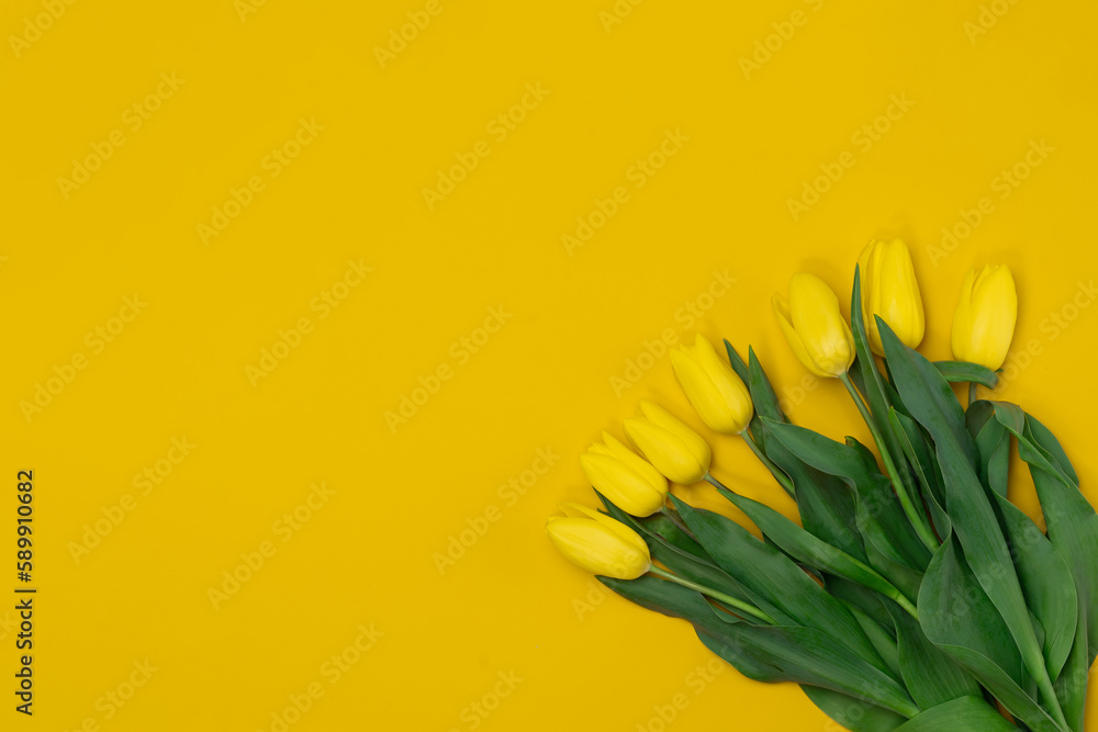 Fototapeta premium Bouquet of Yellow Tulips on a yellow background. Copy space for text