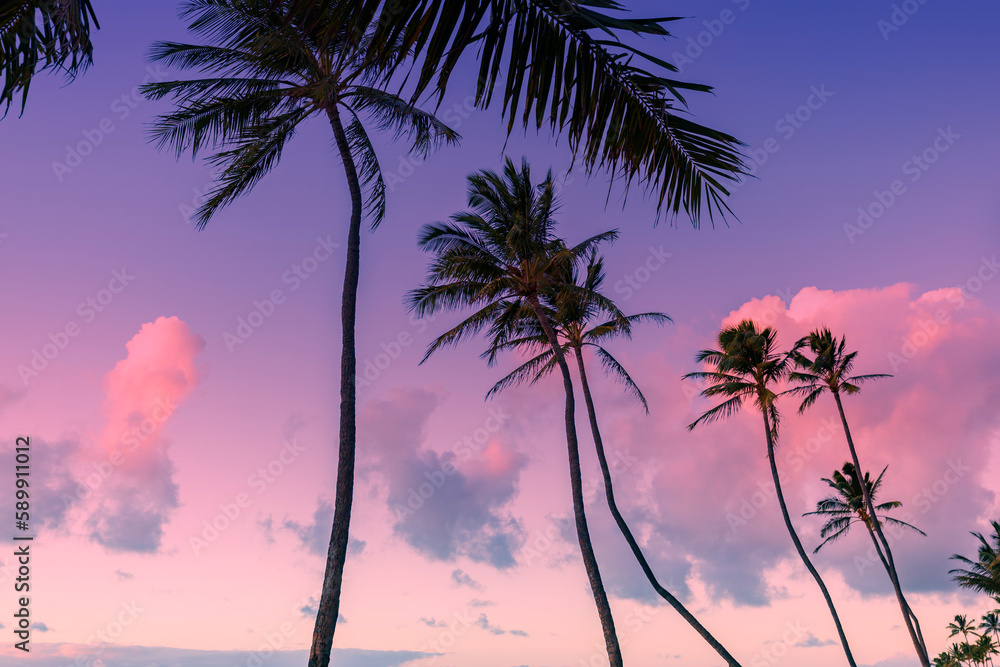 Silhouette coconut palm tree on sunset sky background