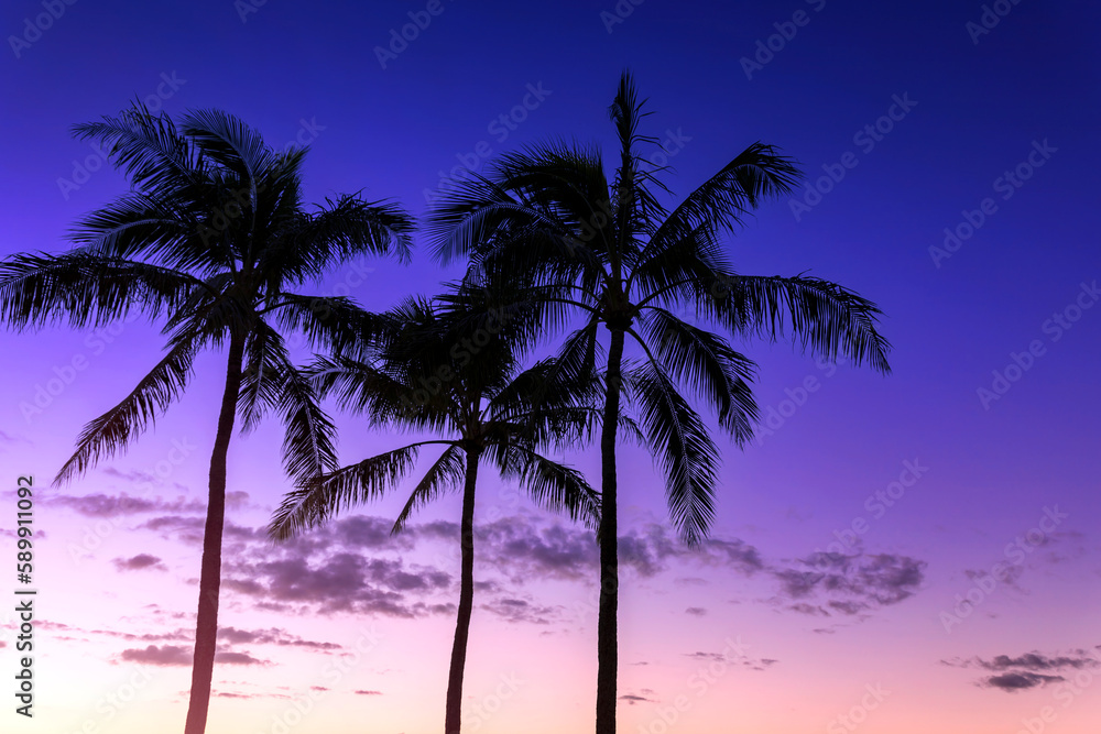 Silhouette coconut palm tree on sunset sky background