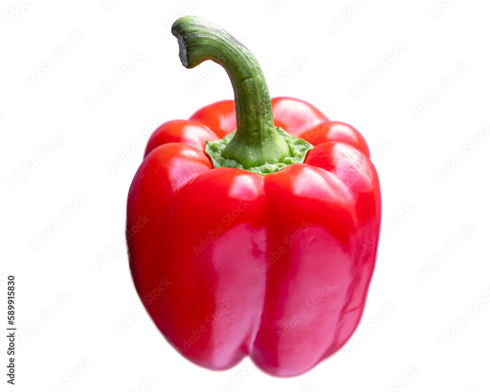 red bell pepper ontransparent background red bell pepper ontransparent background