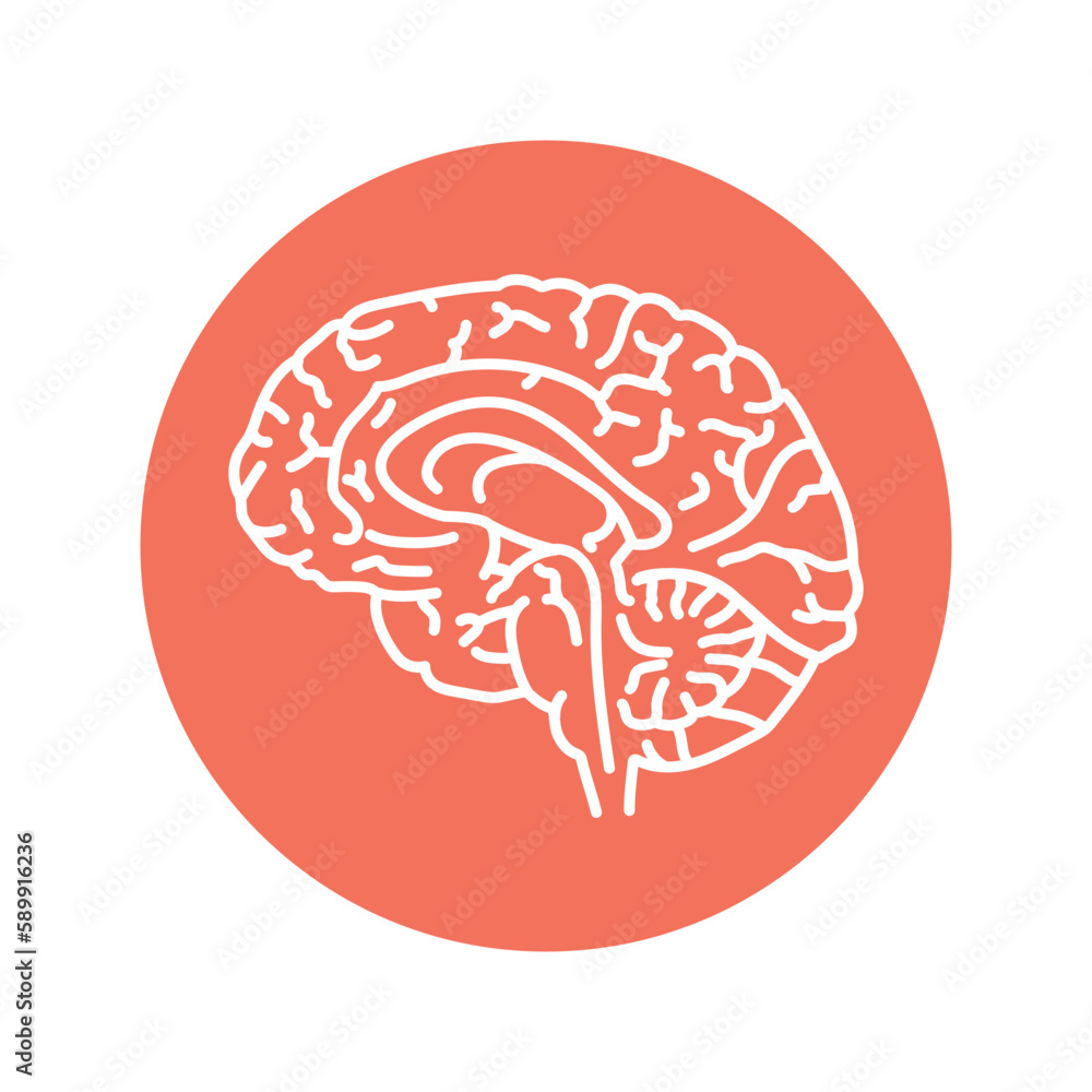 Pituitary color line icon. Endocrine system Pituitary color line icon. Endocrine system