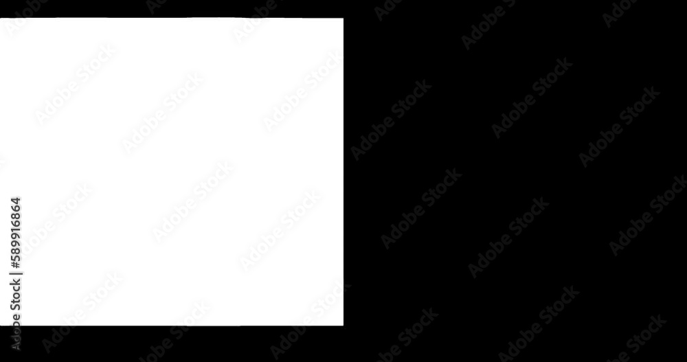 BLACK AND WHITE STROBE LIGHT EFFECT 4K CAMERA FLASH EFFECT BLACK AND WHITE STROBE LIGHT EFFECT 4K CAMERA FLASH EFFECT