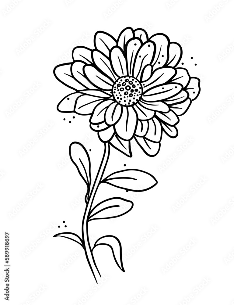 flower vector line art flower vector line art