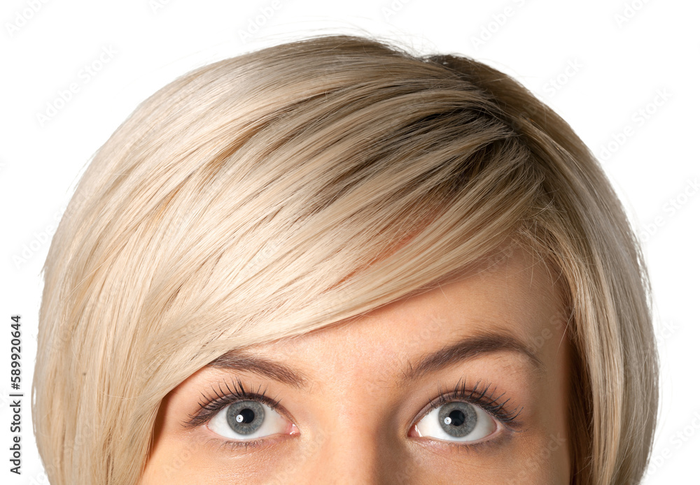 Closeup shot of woman eyes with day makeup. Long eyelashes Closeup shot of woman eyes with day makeup. Long eyelashes