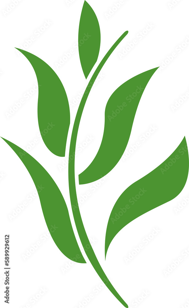 Naklejka premium leaf and plant illustration
