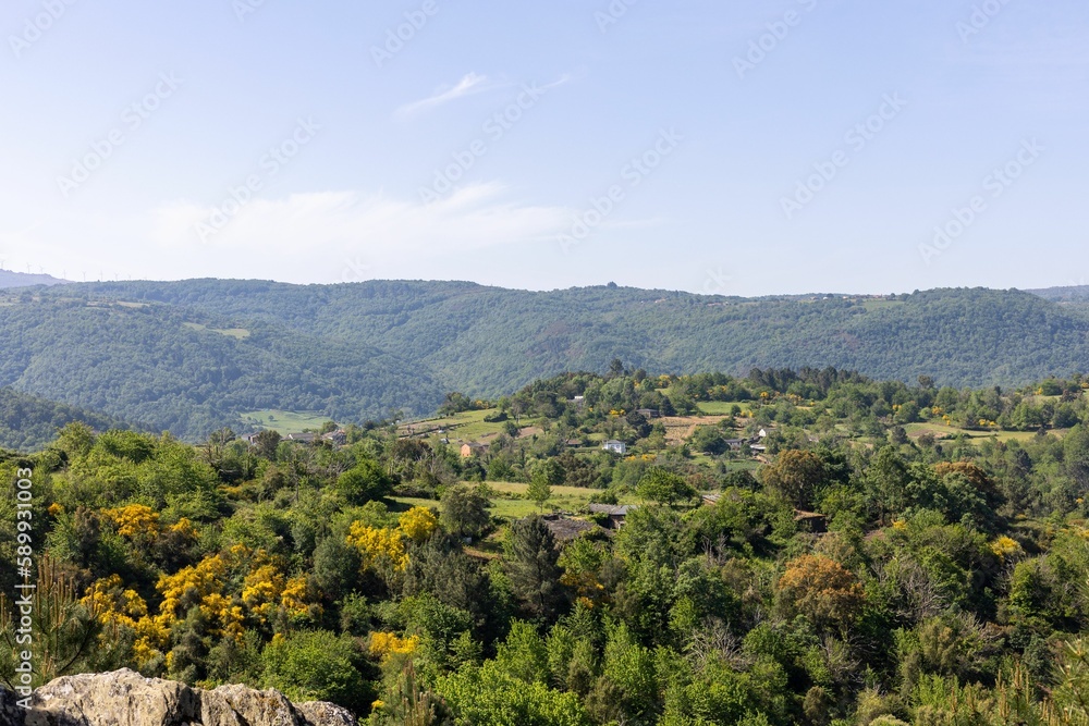 Landscape view of the green autumn trees on the hills in the countryside Landscape view of the green autumn trees on the hills in the countryside