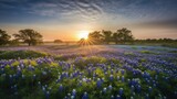 Texas Bluebonnet Spring: A Vibrant Wildflower Field at Sunrise