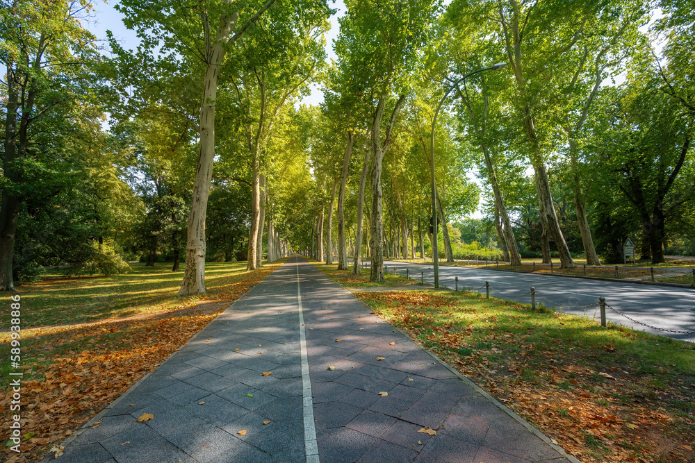 Obraz premium Treptower Park - Berlin, Germany