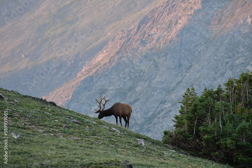 Rocky Mountain National Park Alpine Ridge © Michael