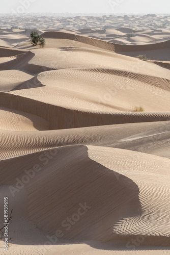 south part of Tunisia is full of suprises