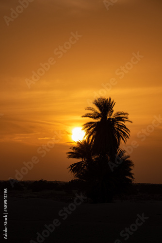 south part of Tunisia is full of suprises