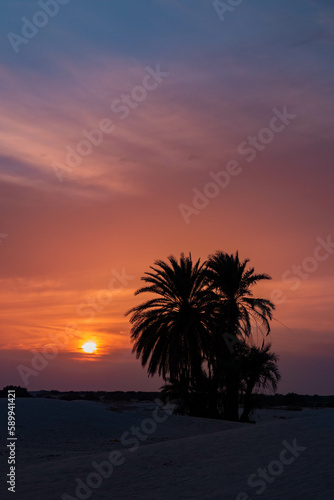 south part of Tunisia is full of suprises
