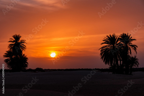 south part of Tunisia is full of suprises