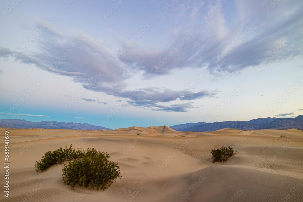 Sunny view of the beautiful Mesquite Flat Dunes