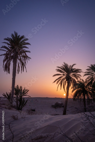 south part of Tunisia is full of suprises © Houssem