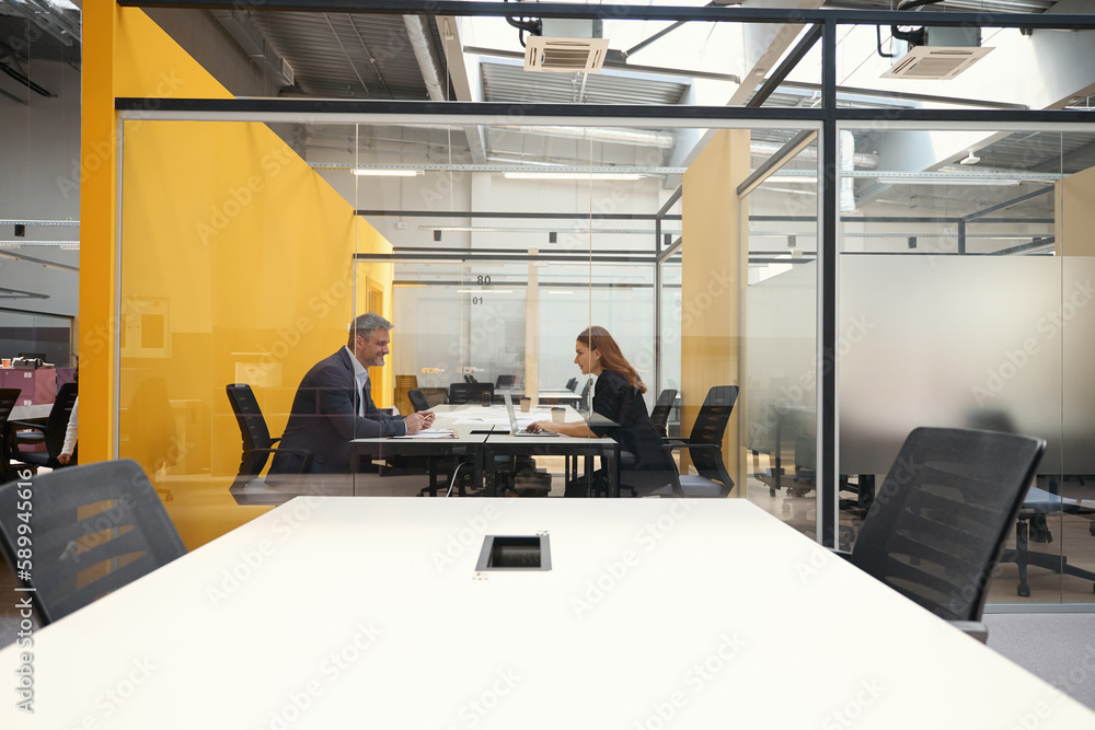 Fototapeta premium Female and male discussing work in the business center