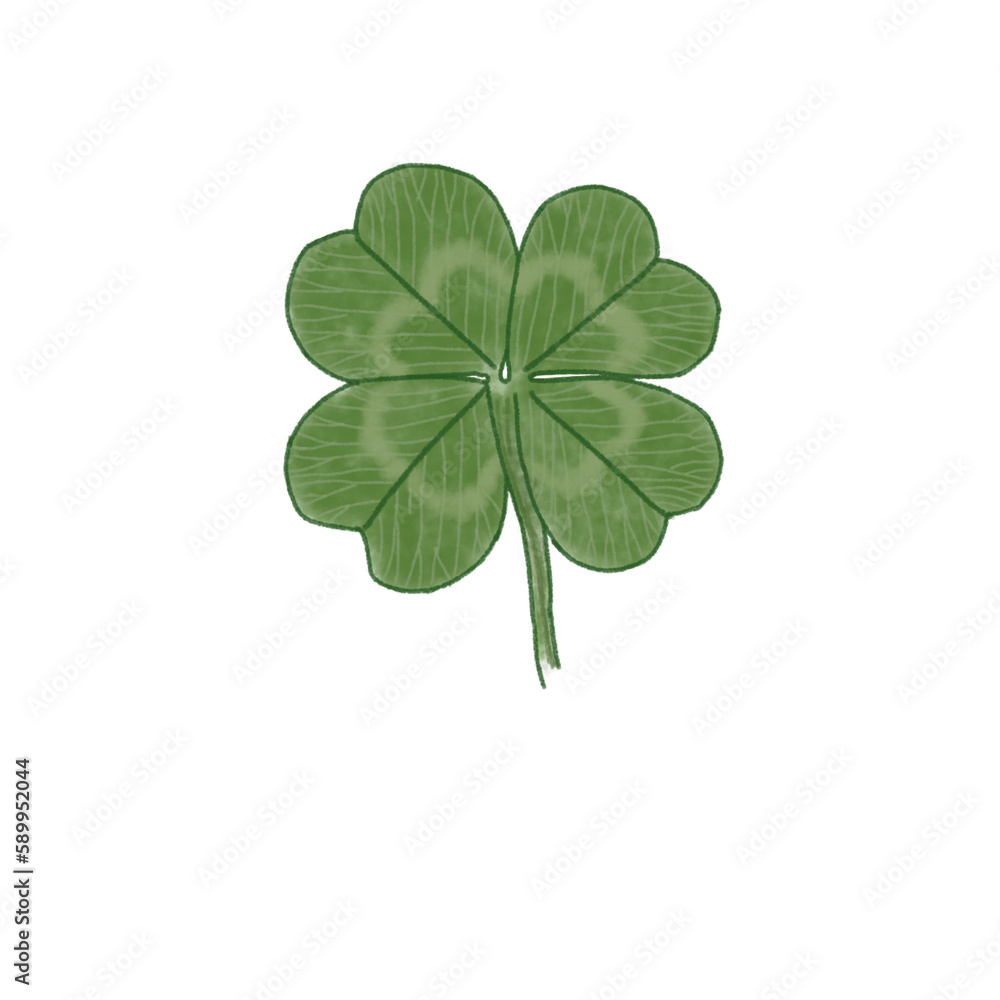 green clover leaves isolated on a white background.
