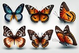 set of butterflies realistic Butterfly pack blank background 