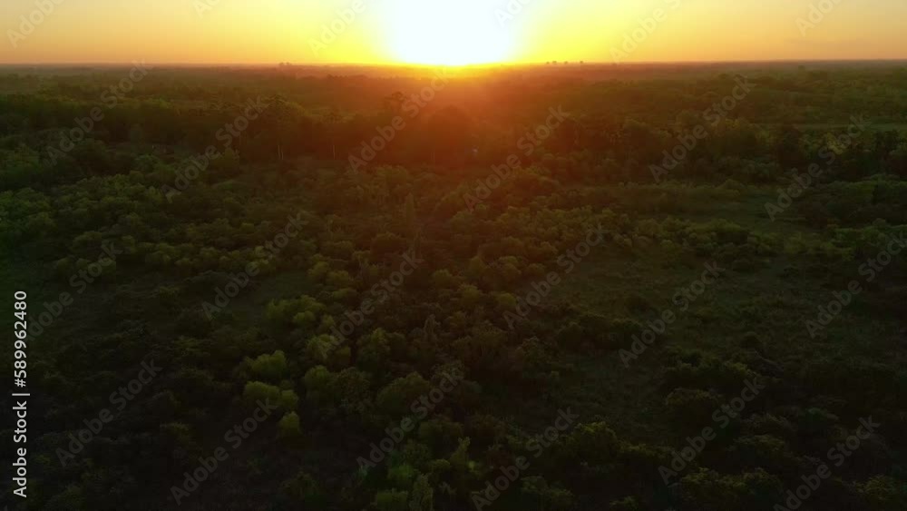 Sunset In The Forest Aerial View Sunset In The Forest Aerial View