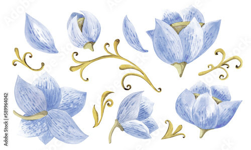 Watercolor set of blue flowers isolated on a white background. Hand drawn for cards and wedding invitations.