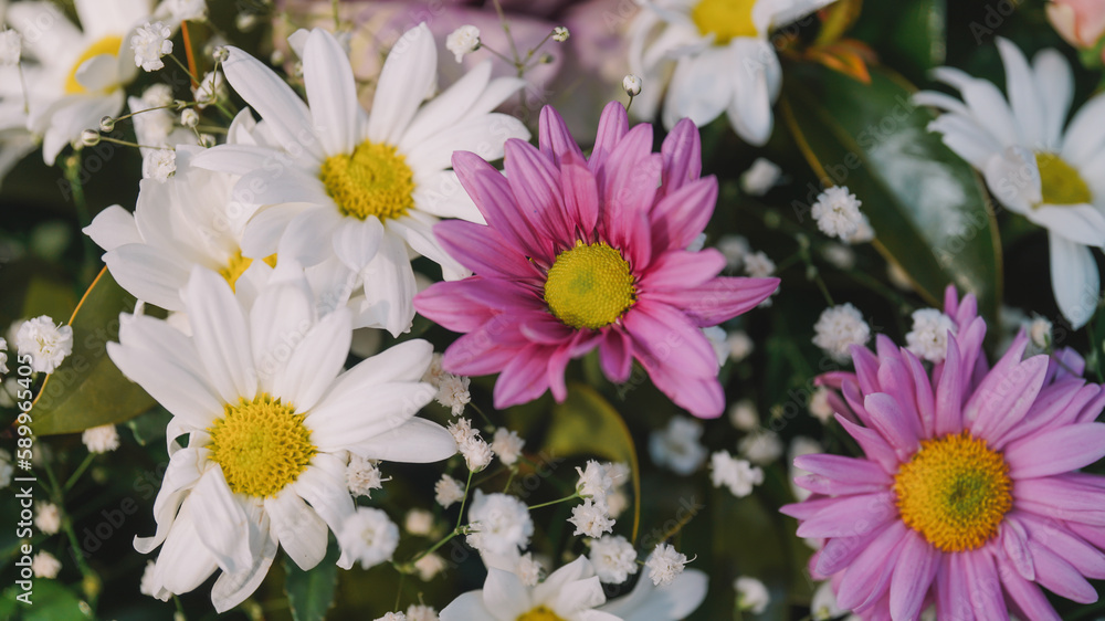 Colorful Flowers Background. Spring Flowers Backdrop Colorful Flowers Background. Spring Flowers Backdrop