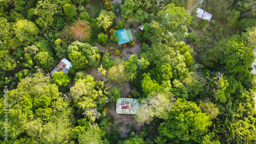 Costa Rica Travel Surf Jungle