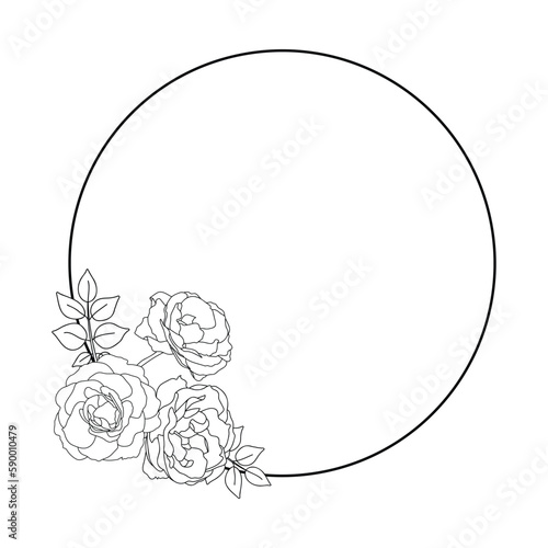 Rose hand drawn illustration in vecor. Sketches, line art.