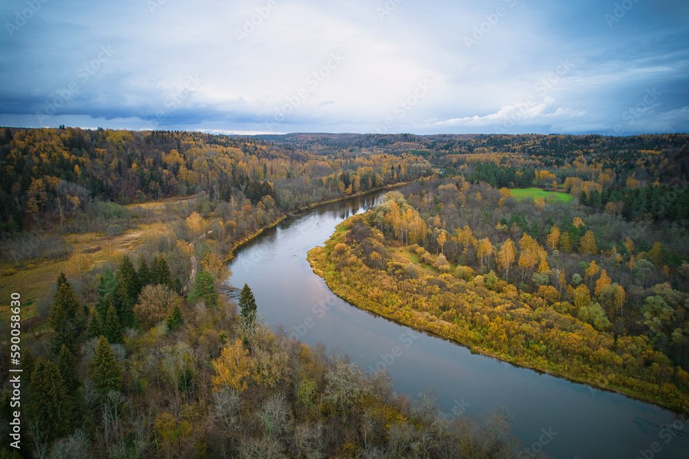 Above aerial shot of green pine forests and yellow foliage groves with beautiful texture of golden treetops. Beautiful fall season scenery in evening. Mountains in autumn colors in golden time Above aerial shot of green pine forests and yellow foliage groves with beautiful texture of golden treetops. Beautiful fall season scenery in evening. Mountains in autumn colors in golden time